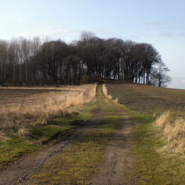 Windylaw Path