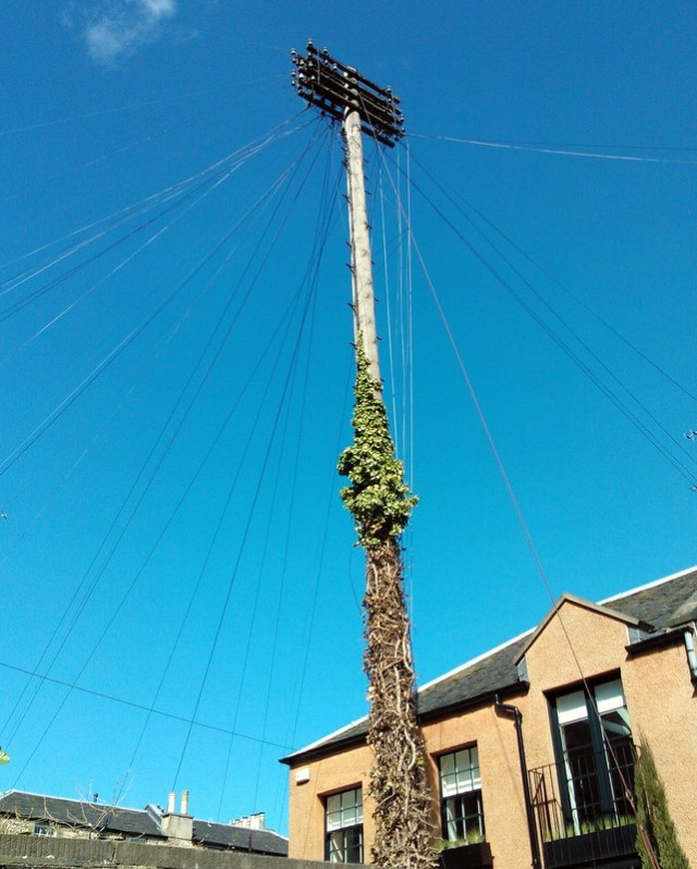 C o n v e r g e / E n t w i n e