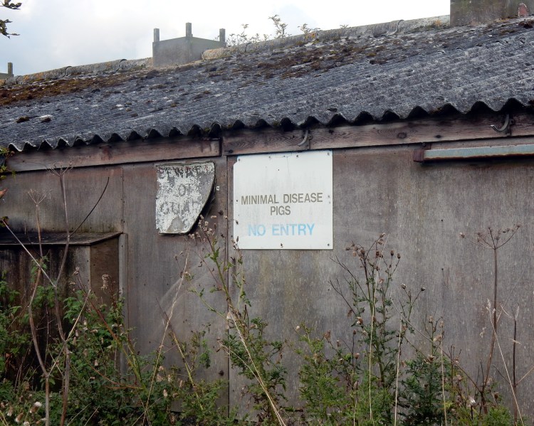 Minimal Disease Pigs No Entry