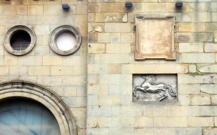 Encased Horse Huddersfield